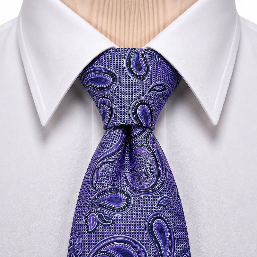 Cremieux Handmade in the USA Silk Dress Tie Purple Paisley